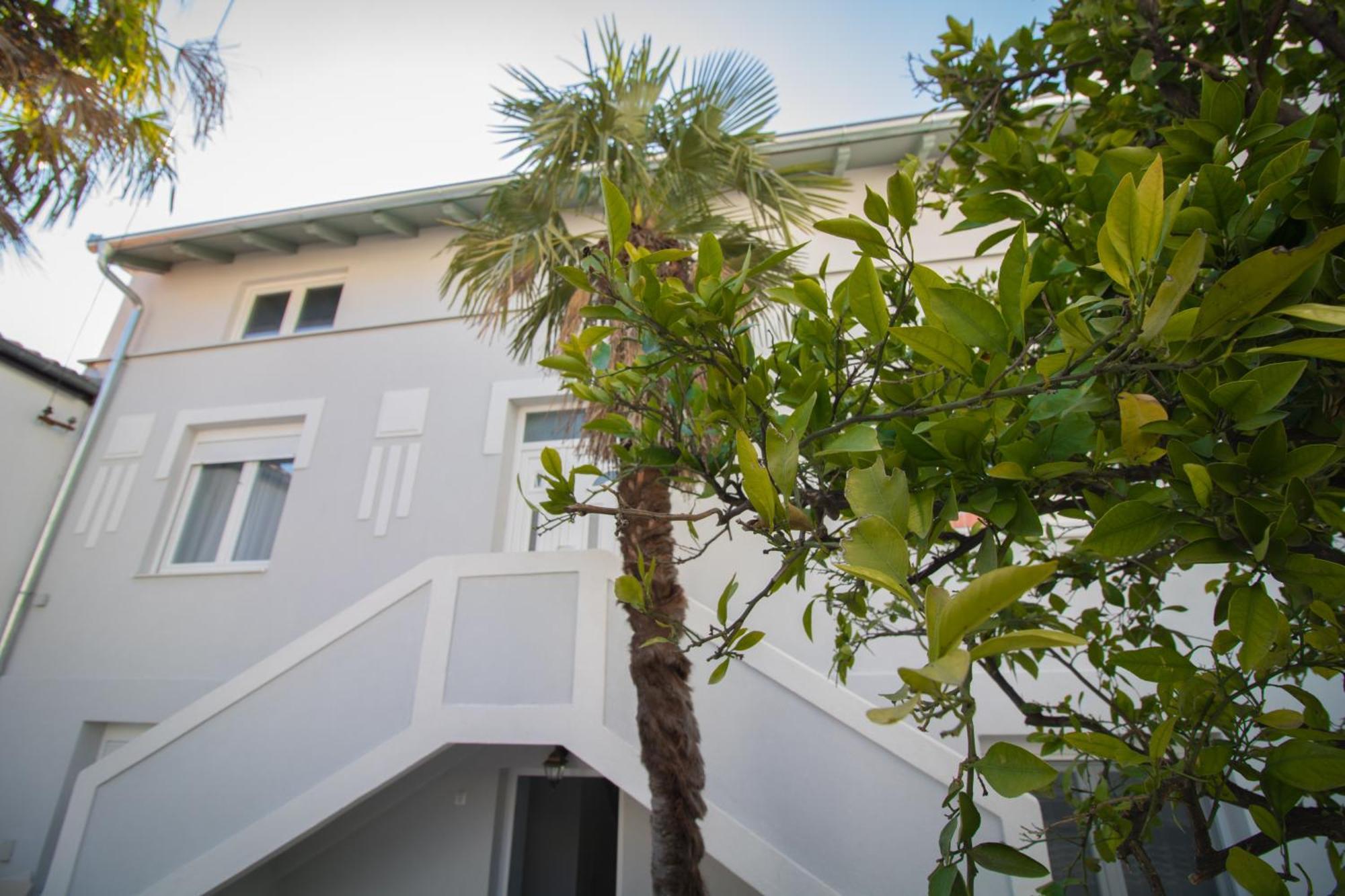 Villa M Μόσταρ Εξωτερικό φωτογραφία